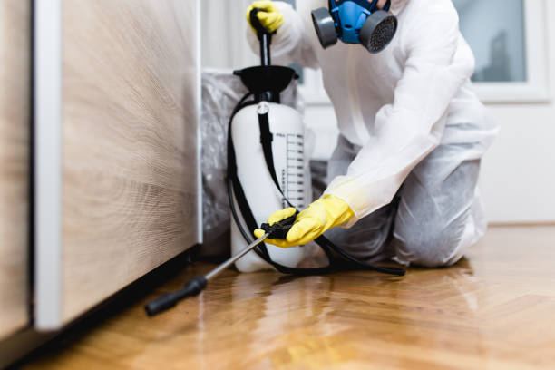 Best Mosquito Control Services  in Lakeland, MN