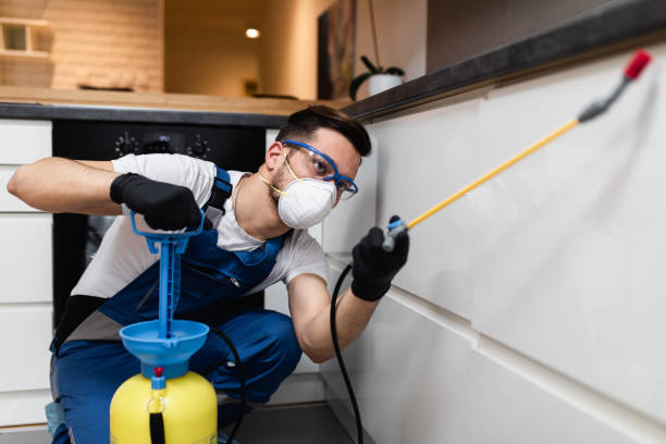 Best Best Pest Control Companies  in Lakeland, MN