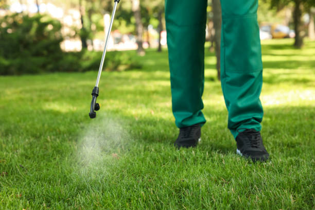 Best Wasp Removal Services  in Lakeland, MN