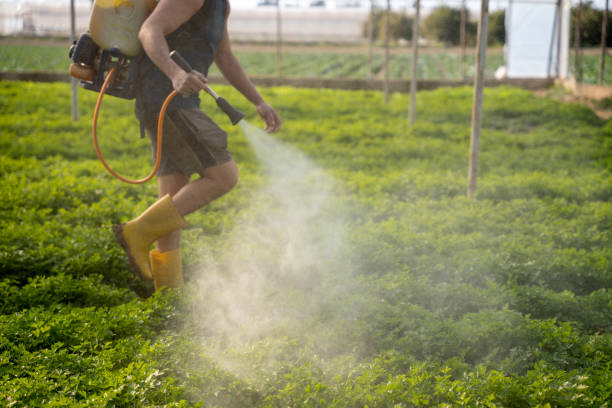 Best Commercial Pest Control Services  in Lakeland, MN