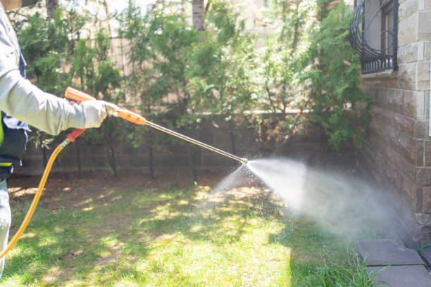 Best Termite Control Services  in Lakeland, MN