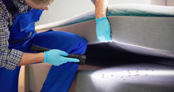 Best Pest Control Near Me in Lakeland, MN